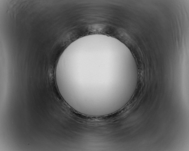 X0000087350561200704200807