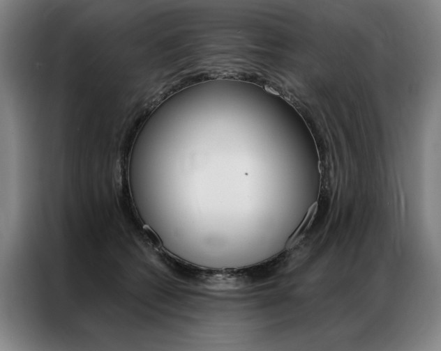 X0000087350562200704200807