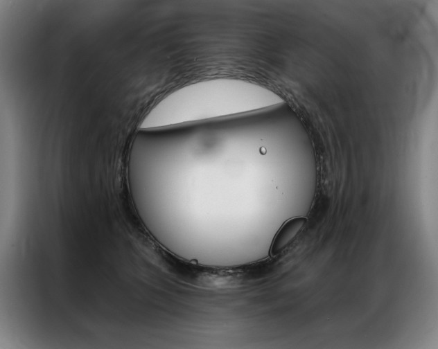 X0000087350563200704200807