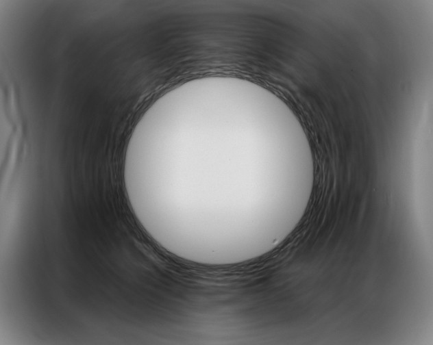 X0000087350564200704200807