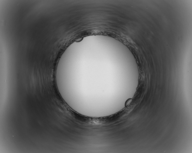 X0000087350565200704200807