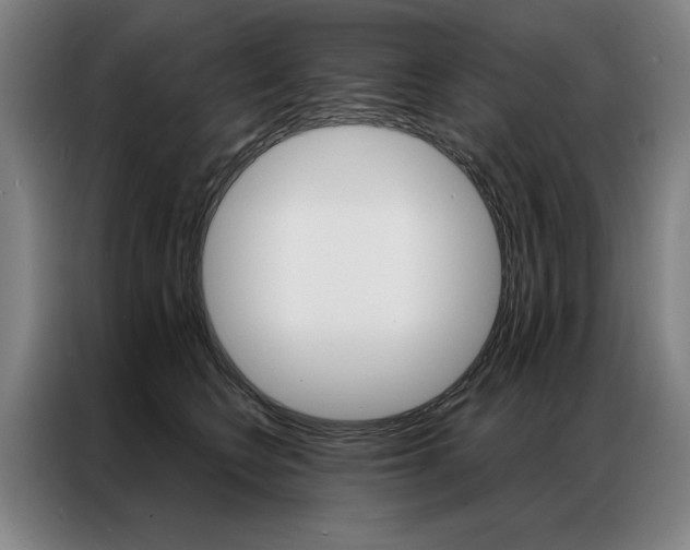 X0000087350566200704200807