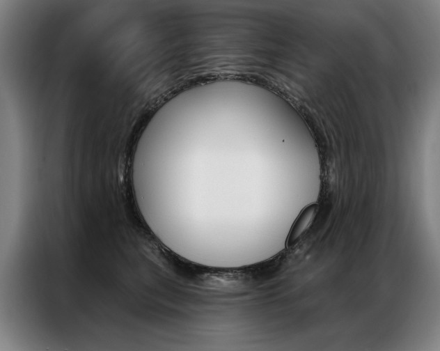 X0000087350567200704200807