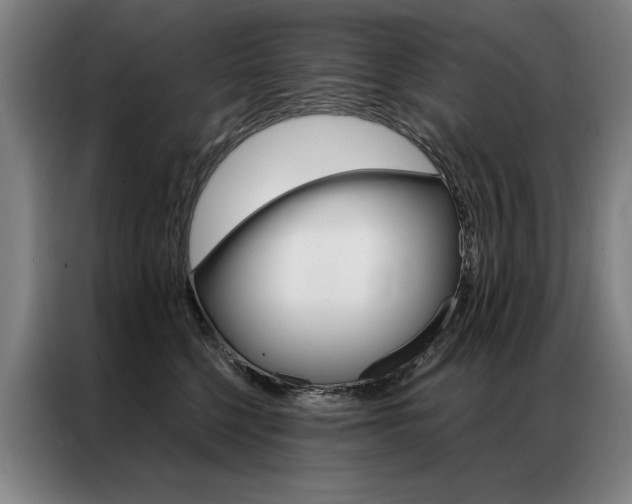 X0000087350568200704200807