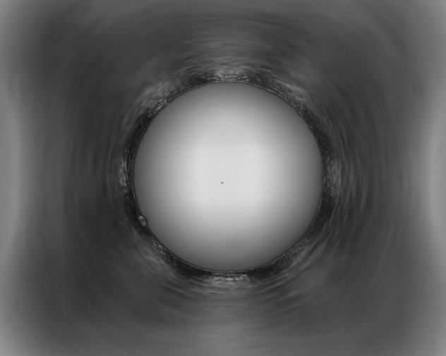X0000087350571200704200807