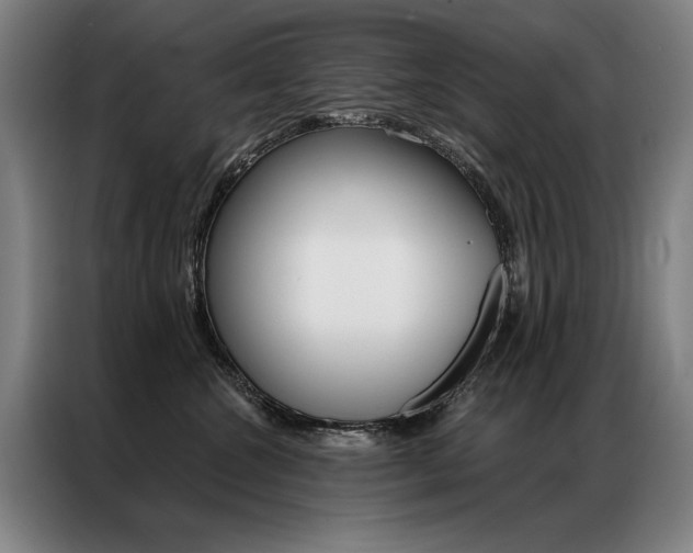 X0000087350572200704200807