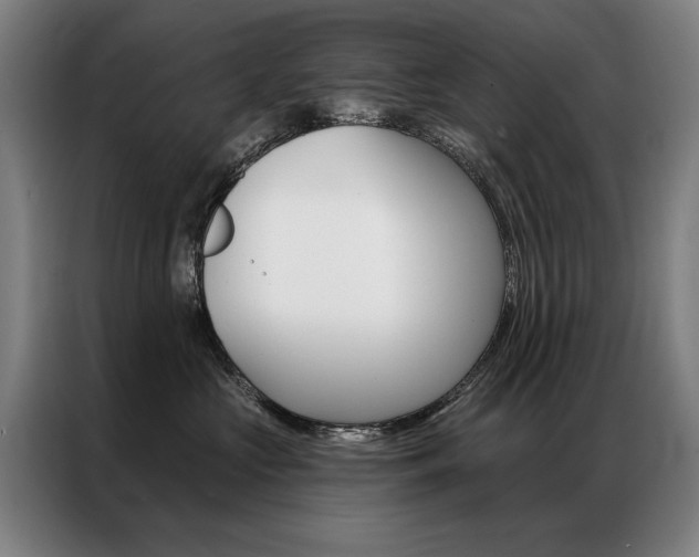 X0000087350573200704200807