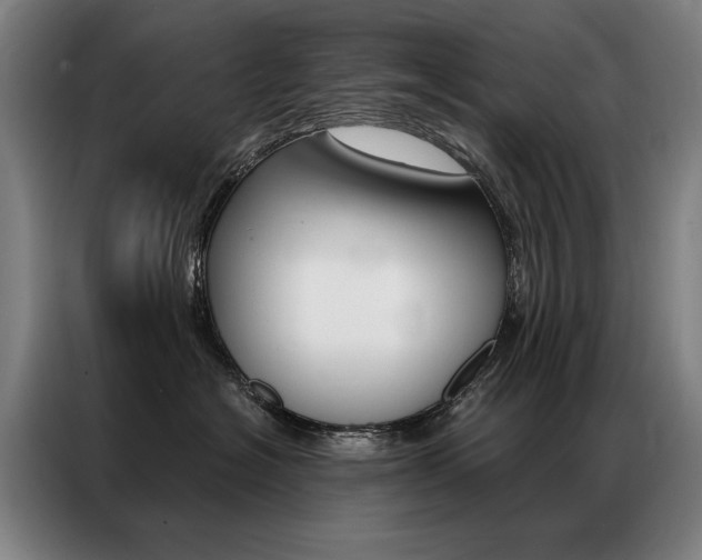 X0000087350574200704200807