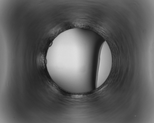 X0000087350575200704200807