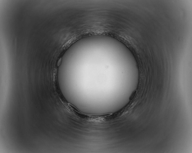 X0000087350576200704200807