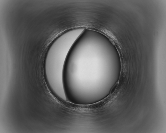 X0000087350577200704200806