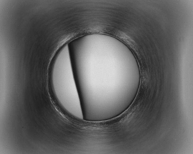X0000087350578200704200806
