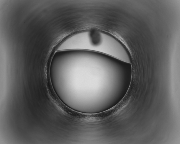 X0000087350581200704200806
