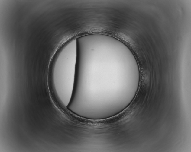 X0000087350582200704200806