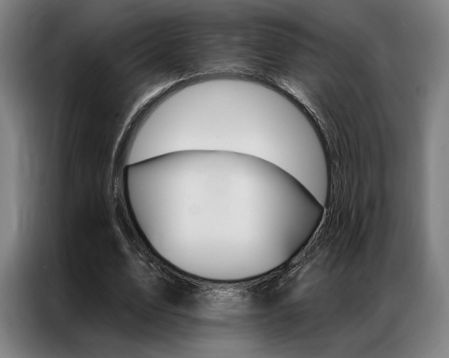 X0000087350583200704200806