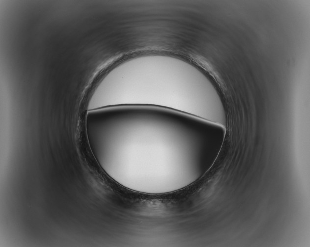 X0000087350588200704200806
