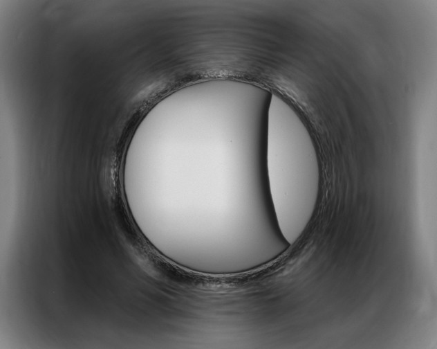 X0000087350590200704200806