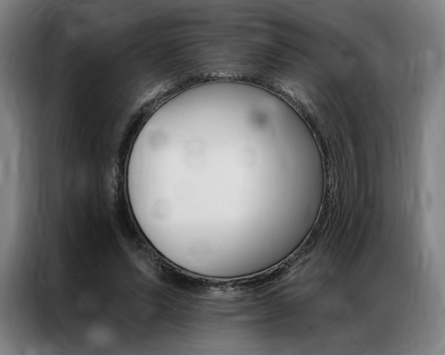 X0000087350591200704200806