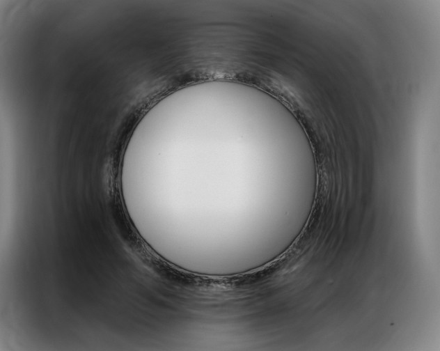 X0000087350594200704200806