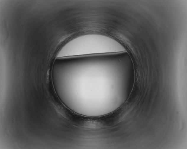 X0000087350596200704200806