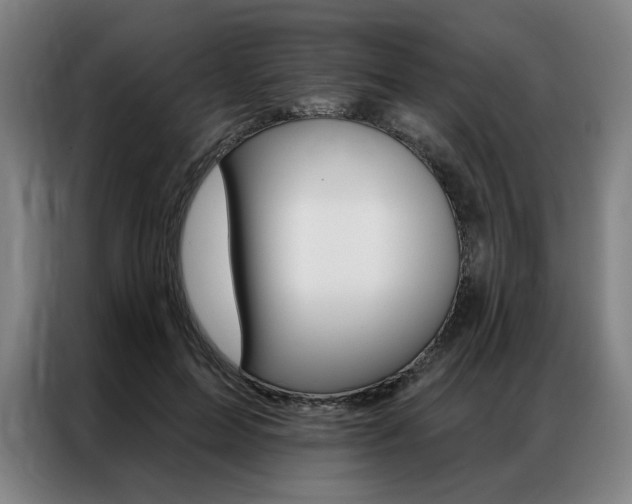 X0000087350599200704200806