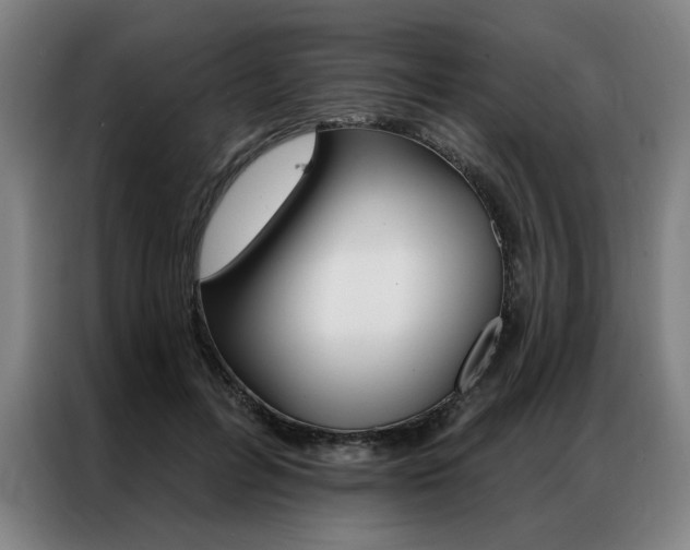 X0000087350600200704200806