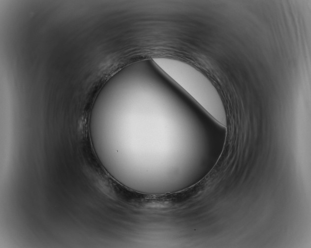 X0000087350601200704200806