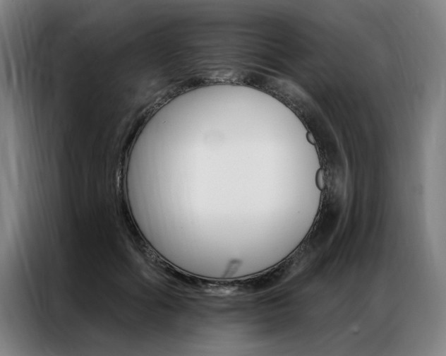 X0000087350602200704200806