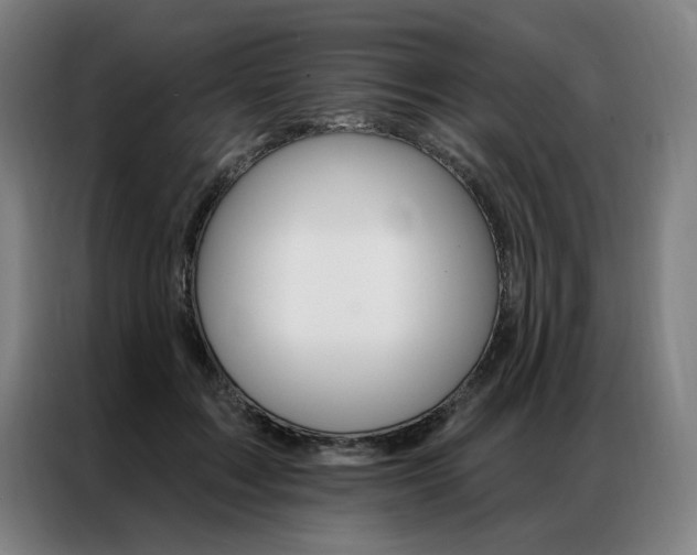 X0000087350603200704200806