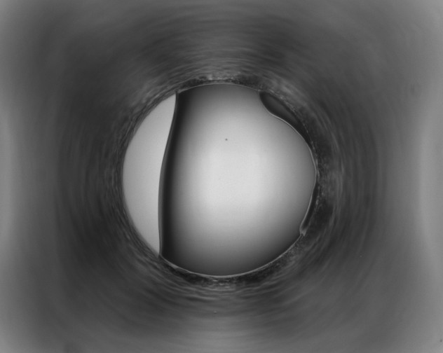 X0000087350604200704200806