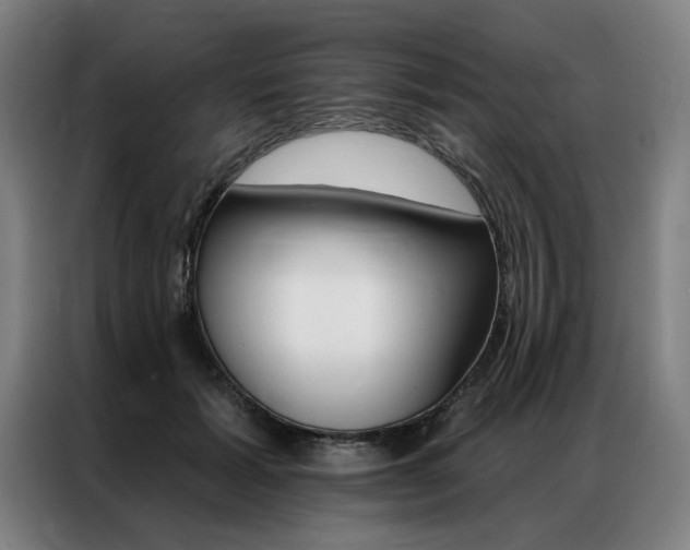 X0000087350605200704200806
