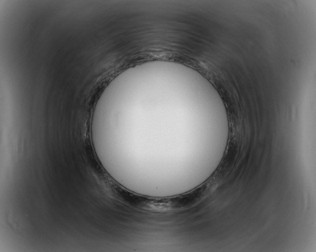 X0000087350606200704200806