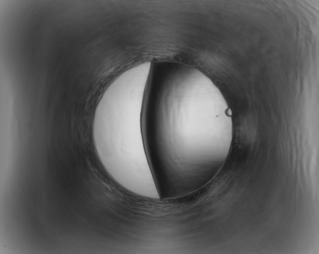 X0000087350608200704200806