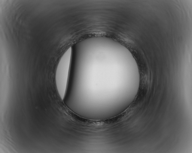 X0000087350609200704200806