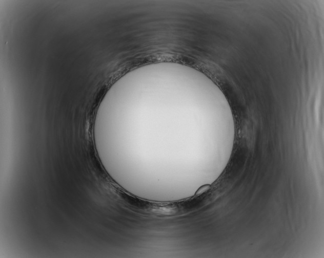 X0000087350610200704200806