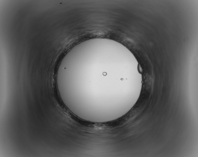 X0000087350612200704200806