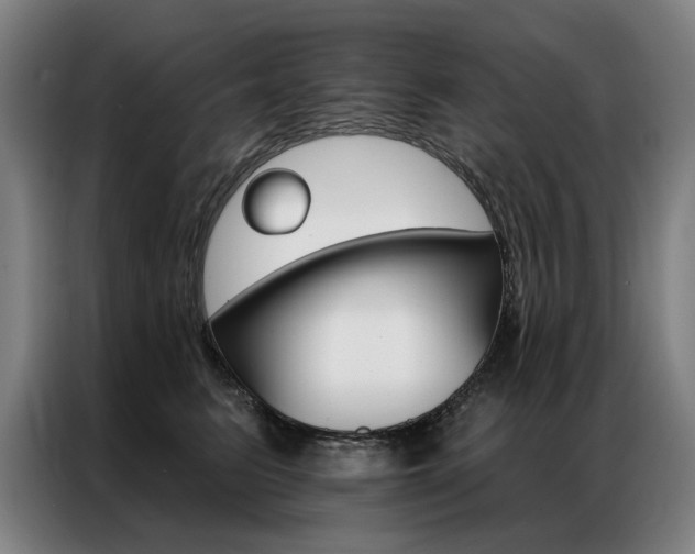 X0000087350615200704200806