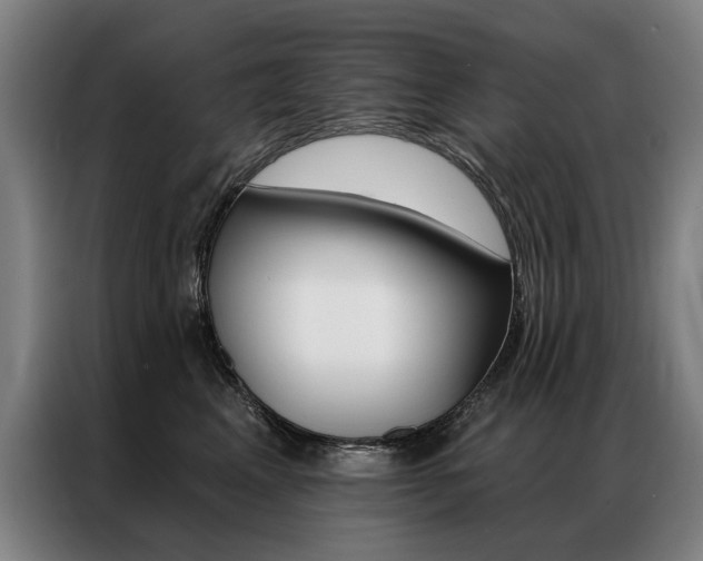 X0000087350617200704200806