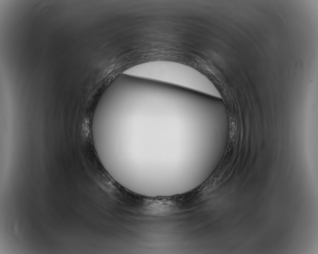 X0000087350621200704200806