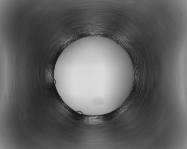 X0000087350622200704200806