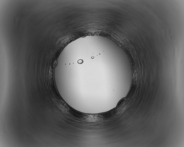 X0000087350623200704200806