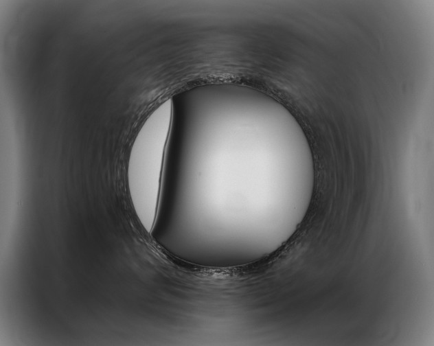 X0000087350624200704200806