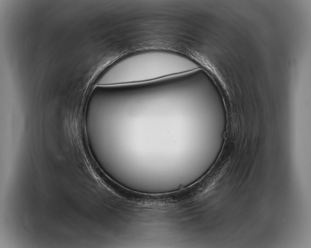 X0000087350625200704200805