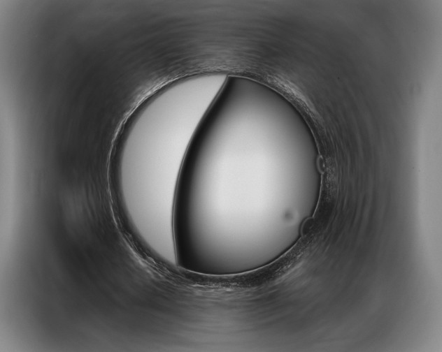 X0000087350626200704200805