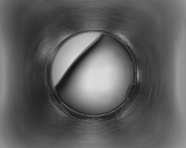 X0000087350627200704200805