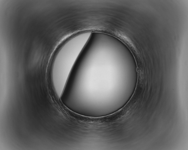 X0000087350628200704200805