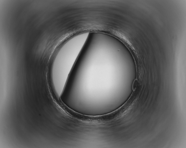 X0000087350629200704200805