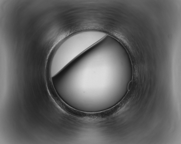 X0000087350630200704200805