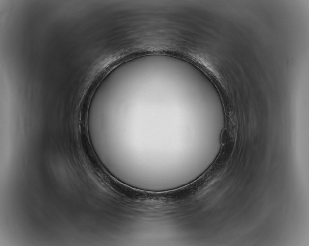 X0000087350631200704200805