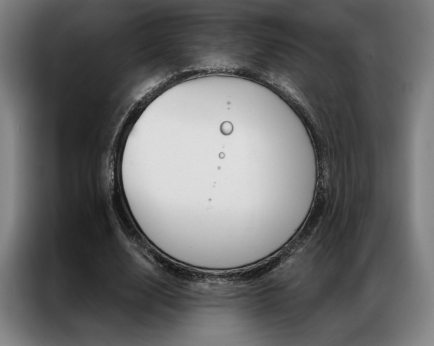 X0000087350632200704200805